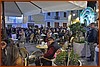 25E_7471.JPG