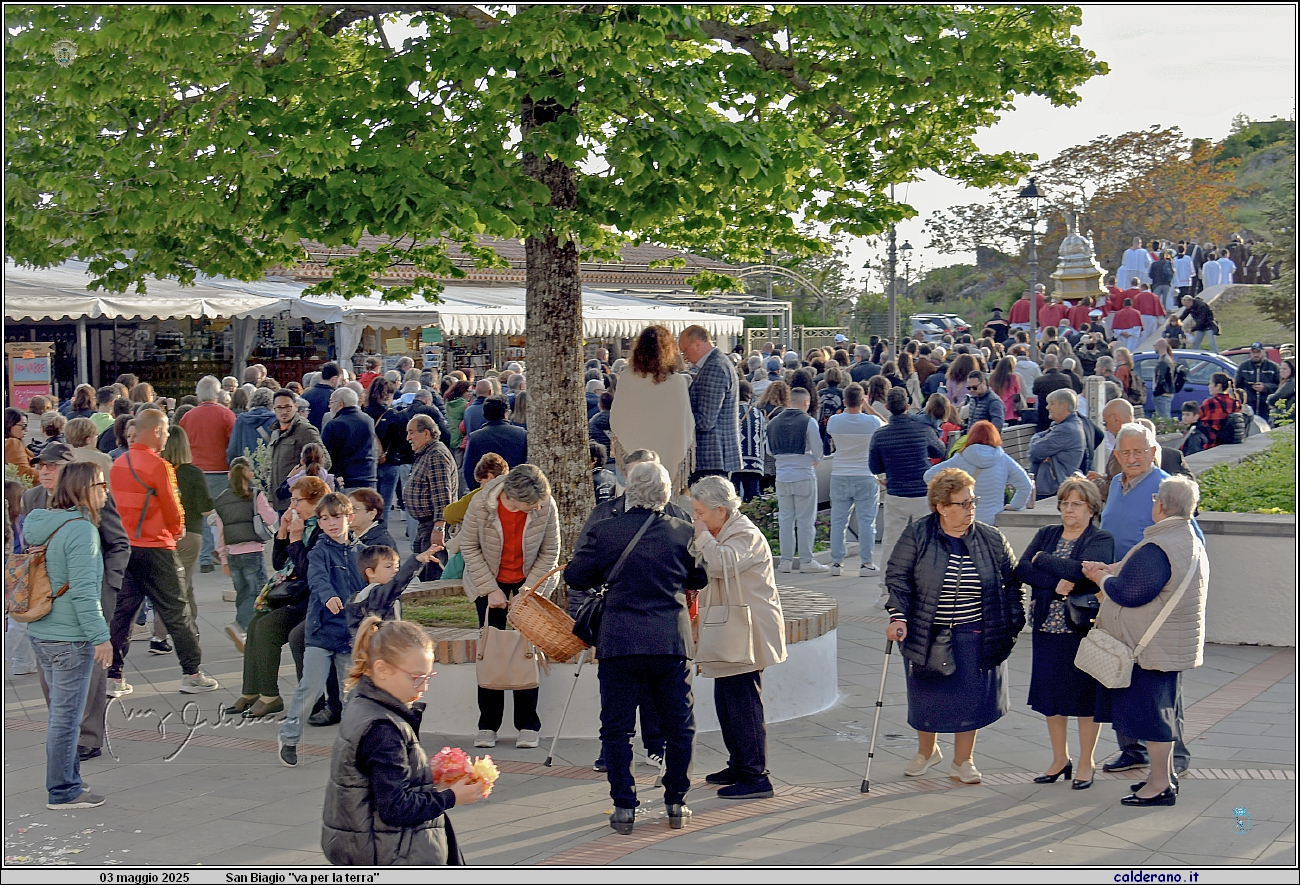 25E_7557.JPG