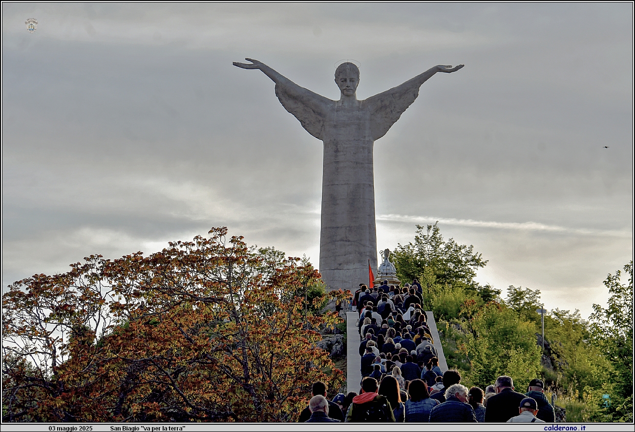 25E_7559.JPG
