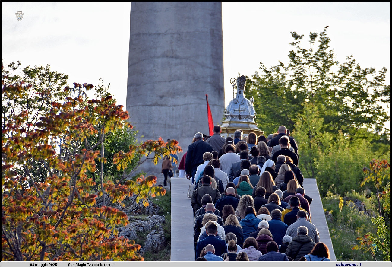 25E_7560.JPG