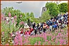 25E_7633.JPG