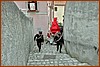 25E_9246.JPG