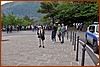 25E_9277.JPG