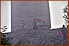 25E_0287.JPG