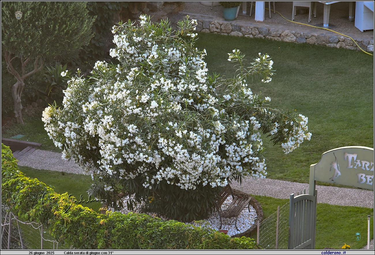 25E_0827.JPG