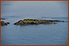 25E_0811.JPG