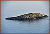 25E_0812.JPG