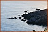 25E_0822.JPG