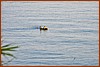 25E_0823.JPG