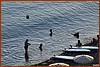 25E_0828.JPG