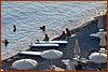 25E_0829.JPG