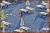 25E_0832a.jpg