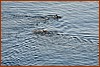 25E_0834.JPG
