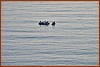 25E_0835.JPG