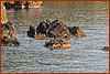 25E_0839.JPG