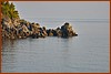 25E_0840.JPG