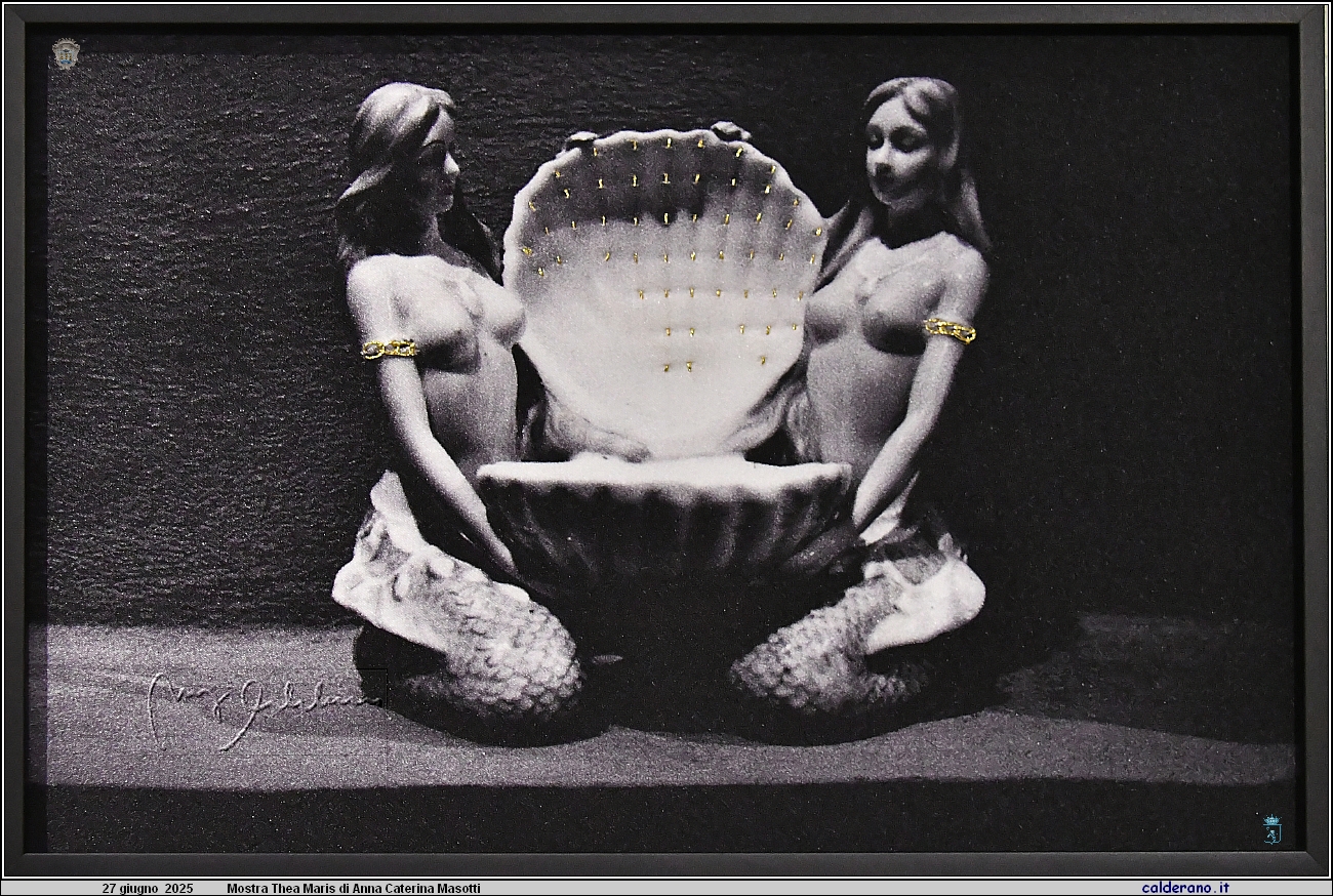 25H_0877.JPG