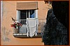 25H_0852.JPG