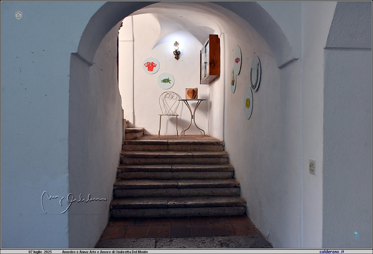 25L_1146.JPG