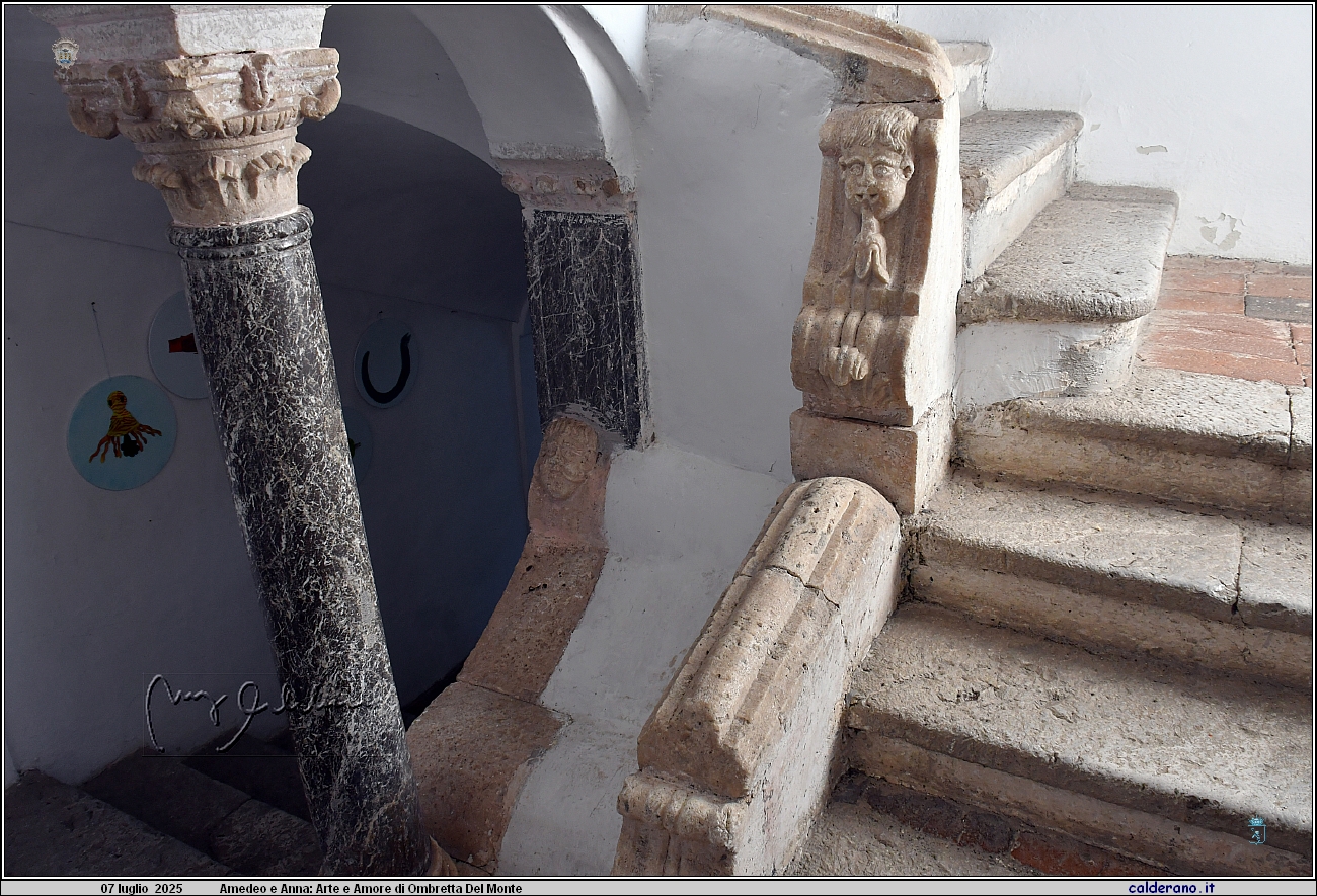 25L_1148.JPG