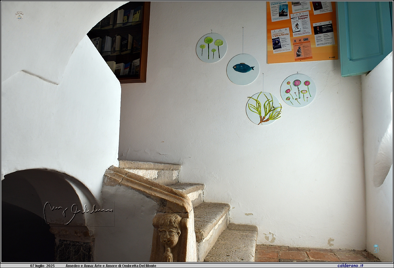 25L_1149.JPG
