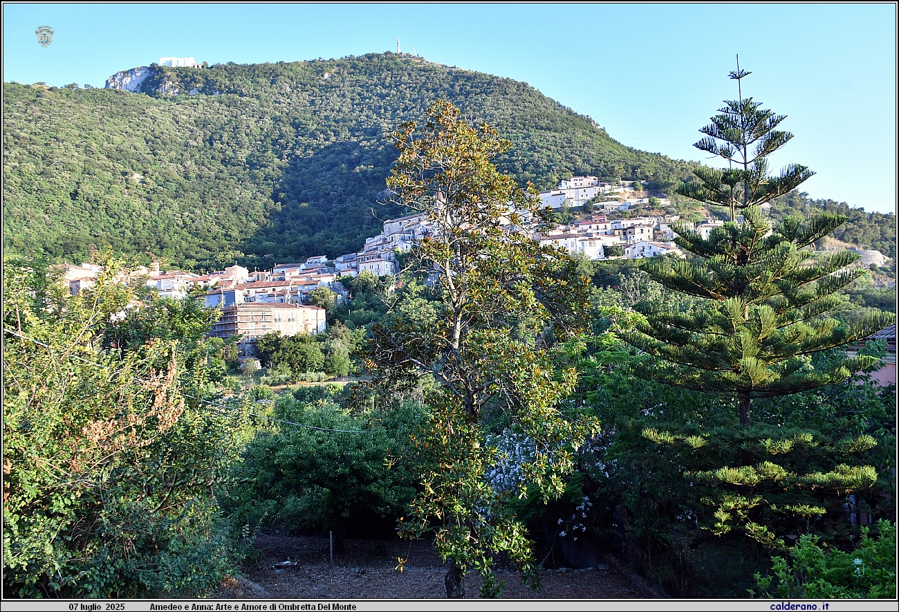 25L_1173.JPG