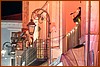 25L_1690.JPG