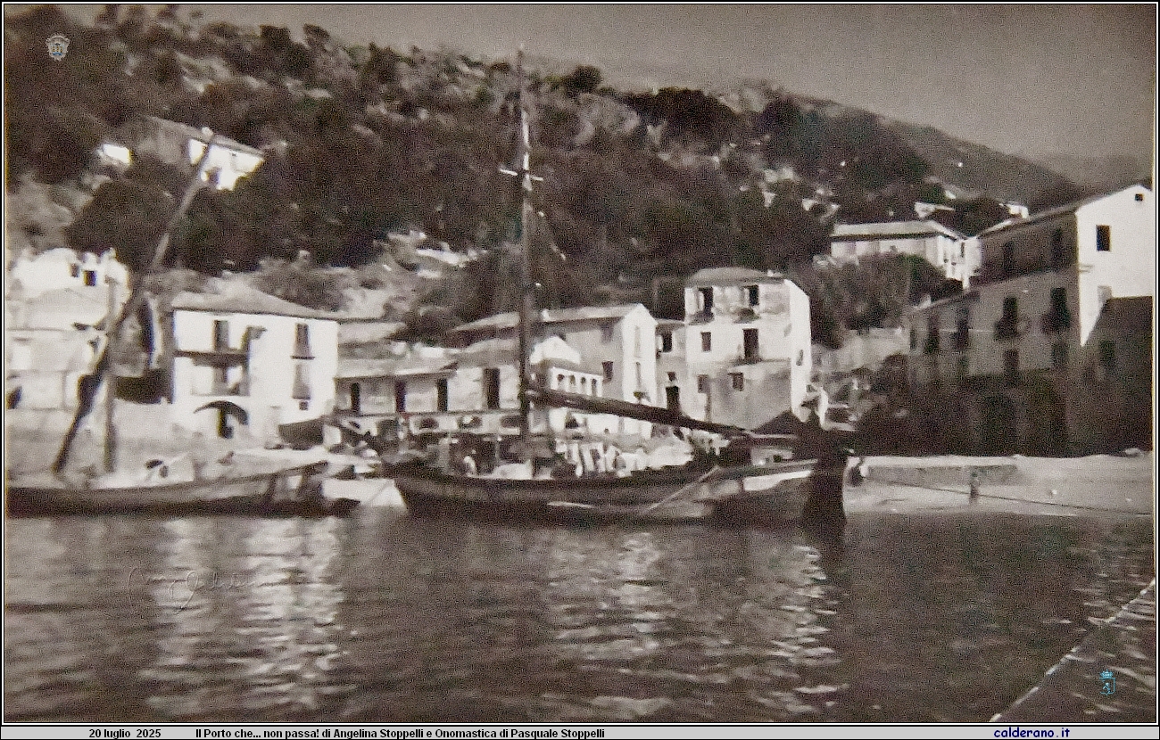 25L_2151.JPG