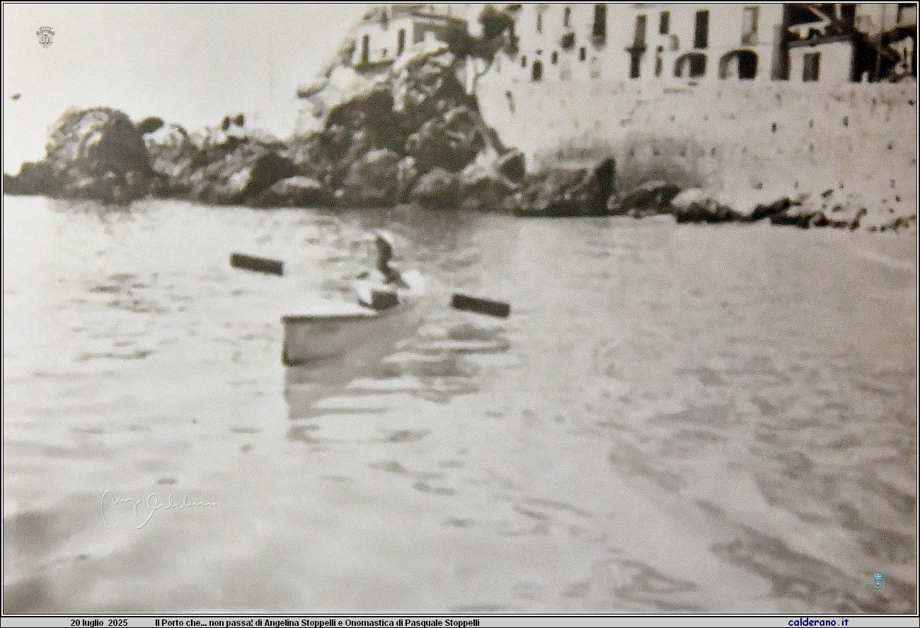 25L_2153.JPG