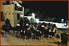25L_2718.JPG