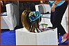 25L_2759.JPG