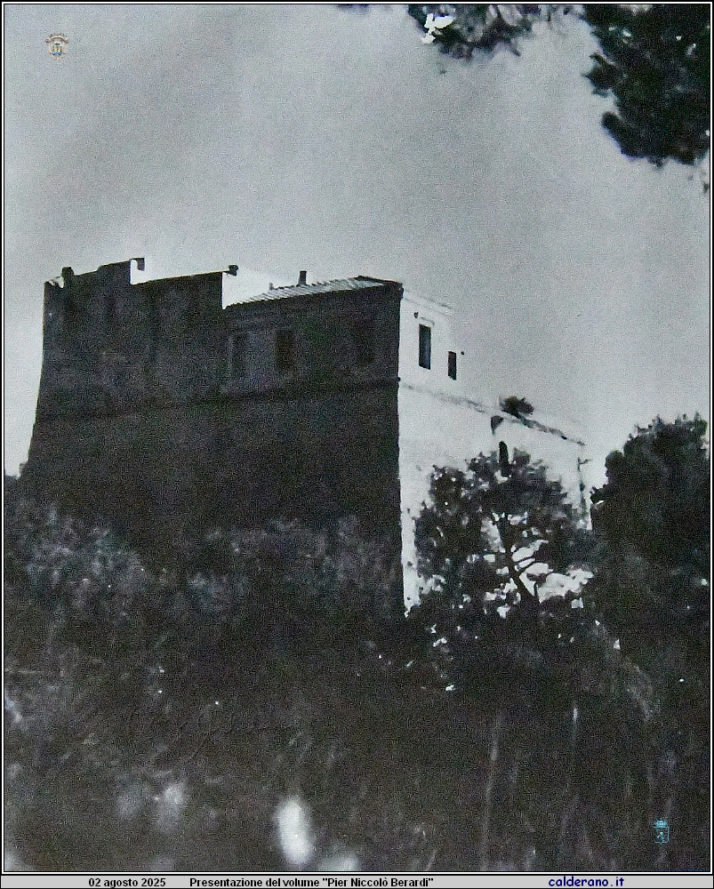 25L_3020.JPG