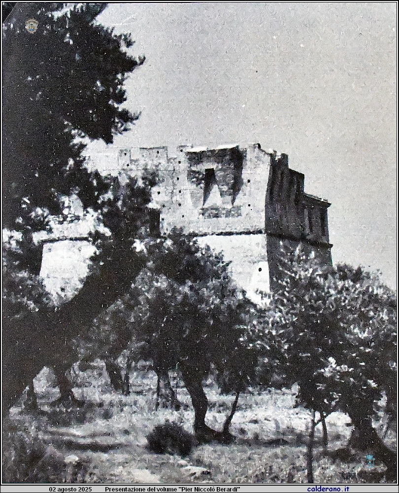 25L_3023.JPG