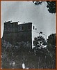 25L_3020.JPG