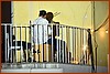 25M_3690.JPG
