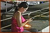 25M_3893.JPG