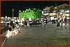 25M_3901.JPG