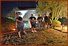 25M_3994.JPG