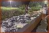 25M_4001.JPG
