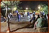 25M_4061.JPG