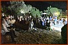 25M_4072.JPG