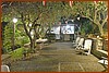 25M_4682.JPG