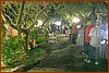 25M_4727.JPG