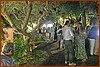 25M_4835.JPG
