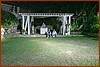 25M_5104.JPG