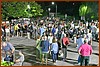 25M_5191.JPG