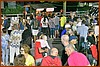 25M_5203.JPG