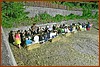 25M_5225.JPG