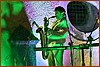 25M_5451.JPG