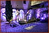 25M_5456.JPG
